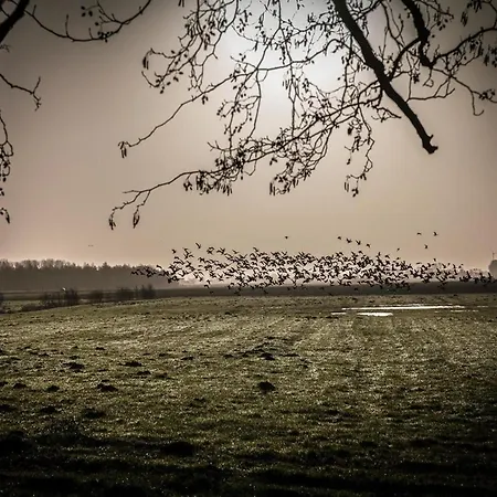 Appartamento Grosses Mehr